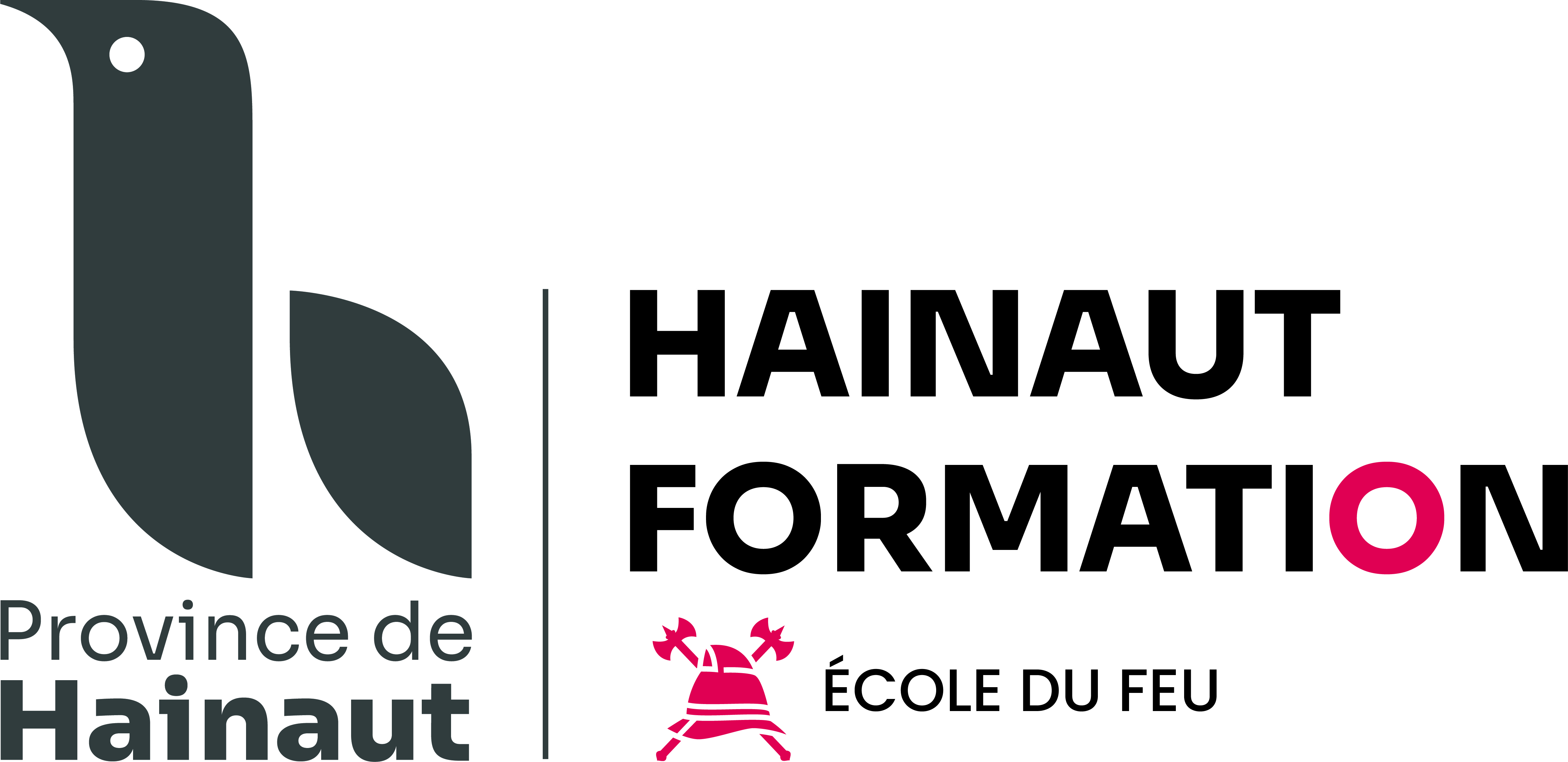 Logo HFEF